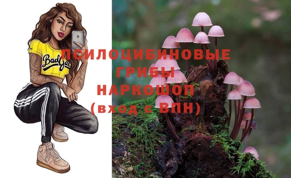 бошки Армянск