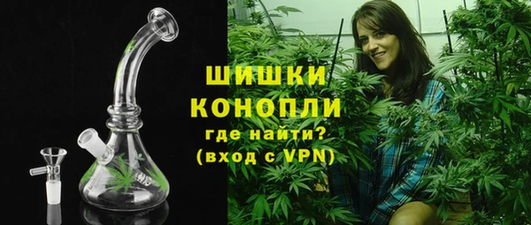 PSILOCYBIN Балахна