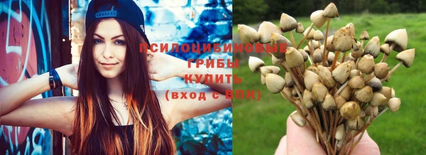 ешки Баксан