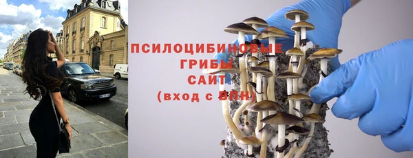 бошки Армянск