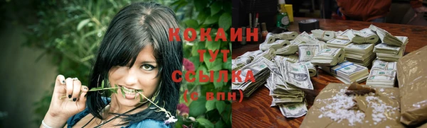 PSILOCYBIN Балахна